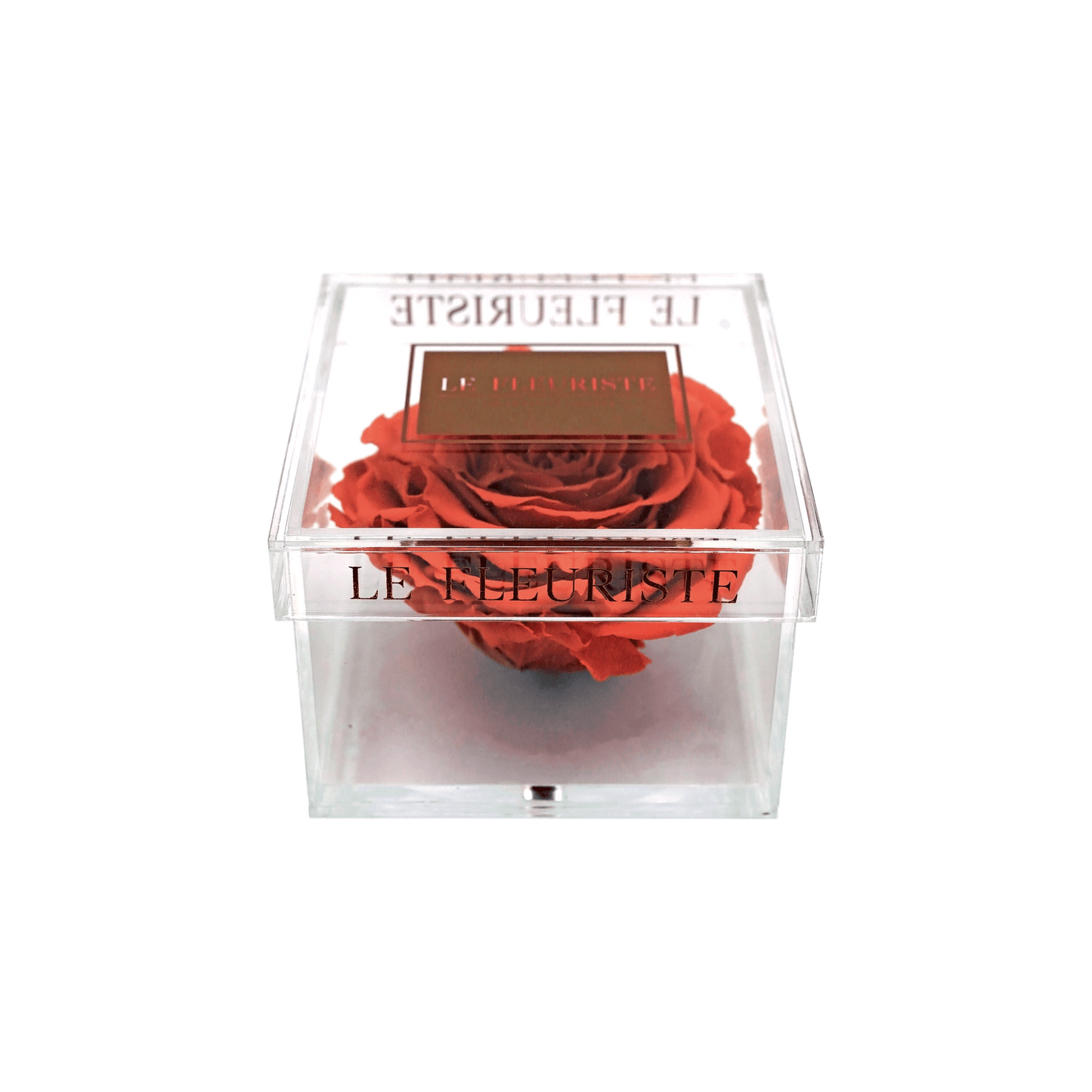 Ready-to-Ship: Deluxe Acrylic Box
